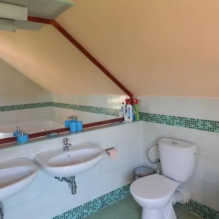 Orman Evi Chata